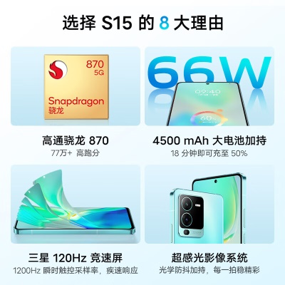 vivo S15 8GB+128GB 盛夏 高通骁龙870 超感光影像系统 电影感人像大片 66W闪充 5G