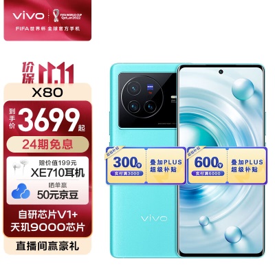 vivo X80 天玑9000旗舰芯片 自研芯片V1+ 蔡司T*光学镜头 双电芯80W闪充 拍照手机