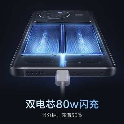 vivo X80 天玑9000旗舰芯片 自研芯片V1+ 蔡司T*光学镜头 双电芯80W闪充 拍照手机