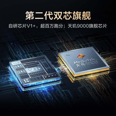 vivo X80 天玑9000旗舰芯片 自研芯片V1+ 蔡司T*光学镜头 双电芯80W闪充 拍照手机