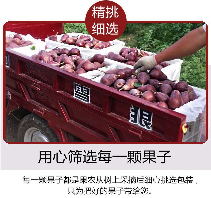 b205b38d6dc4392c.jpg