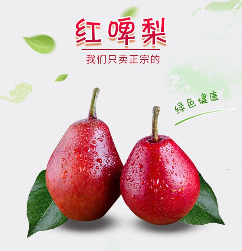 e92848dc7773d454.jpg