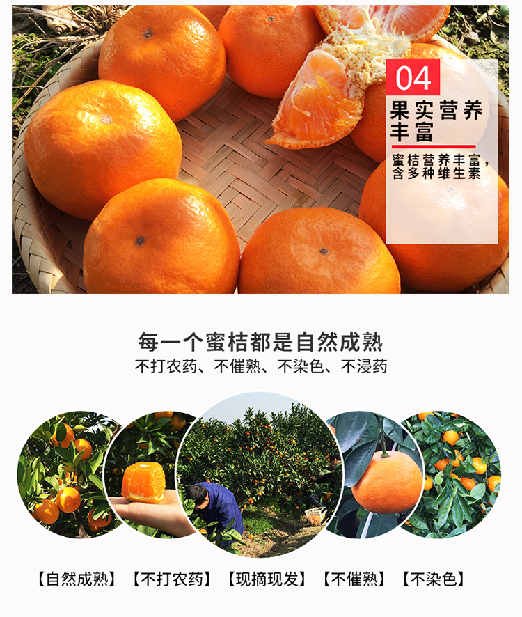 48c0088ed4b49545.jpg