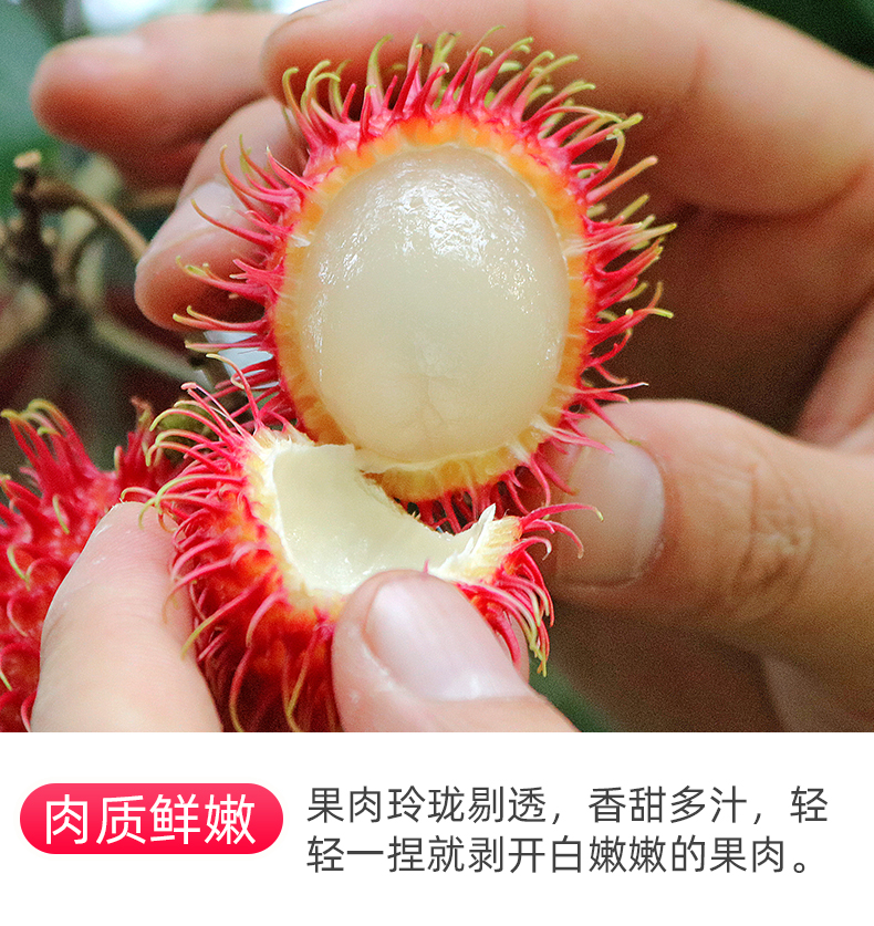 70cfc223a99bcb59.jpg