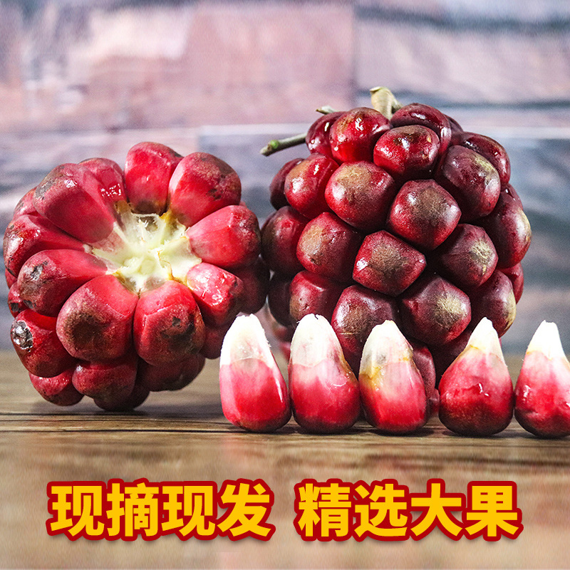 02f47f53b388a86d.jpg