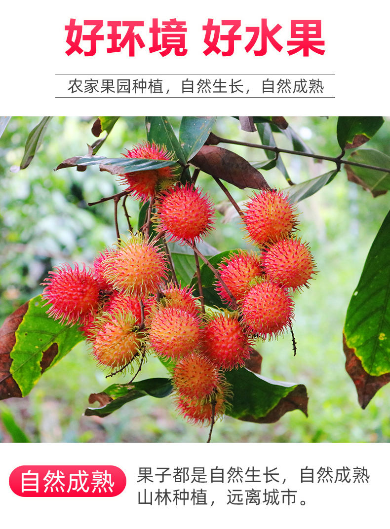 b8537d3f08f3a1b7.jpg