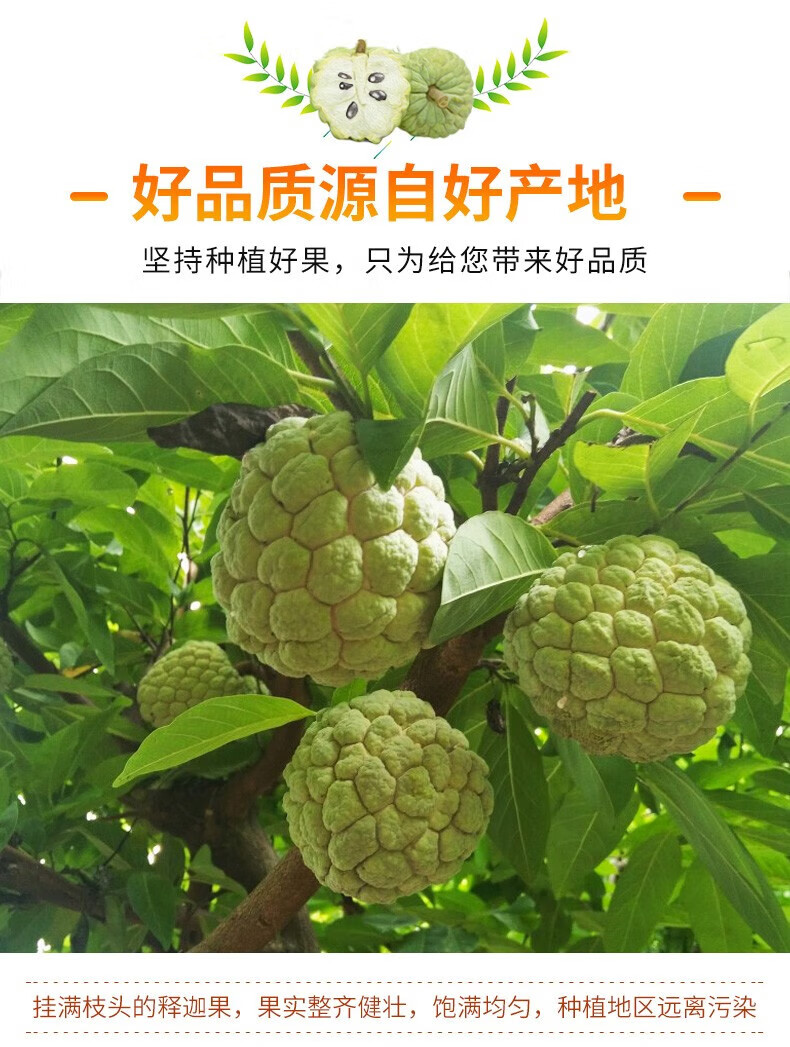 f7b5226cd0a5a029.jpg