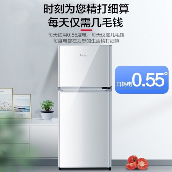 海尔（Haier）118升小型双门迷你冰箱 节能省电冷藏冷冻两门 BCD-118TMPA