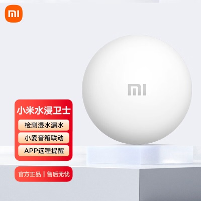 水浸卫士