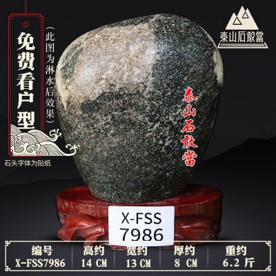 X-FSS7986