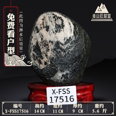 X-FSS17516