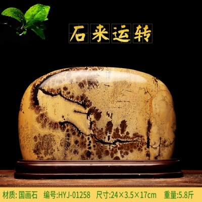巧克力色 54号01431-298
