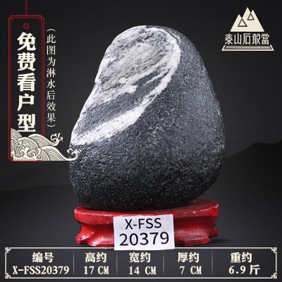 X-FSS20379