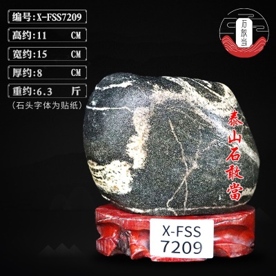 X-FSS7209