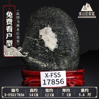 X-FSS17856
