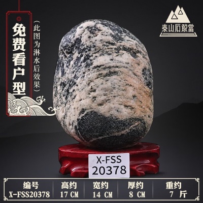 X-FSS20378