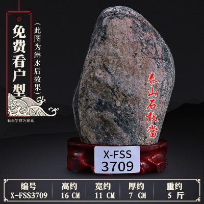 X-FSS3709