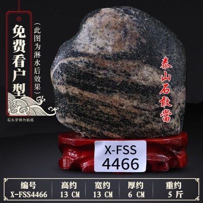 X-FSS4466