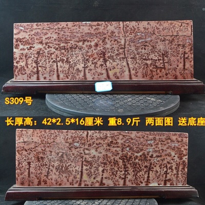 透明 S309