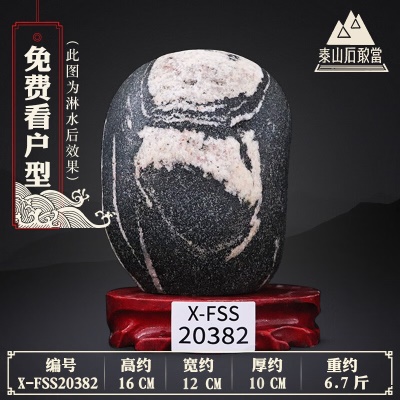 X-FSS20382