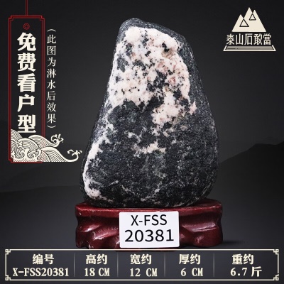 X-FSS20381