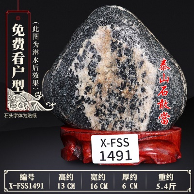 X-FSS1491