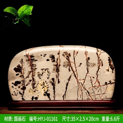 荧光绿 30号01161-528