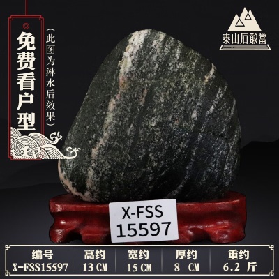 X-FSS15597