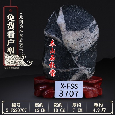 X-FSS3707