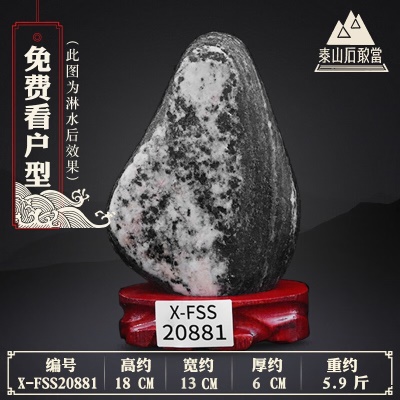 X-FSS20881