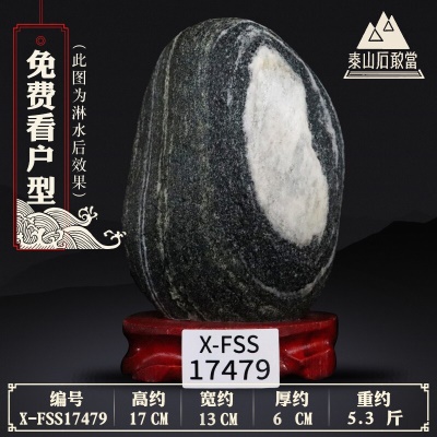 X-FSS17479