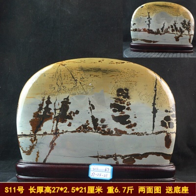 S11