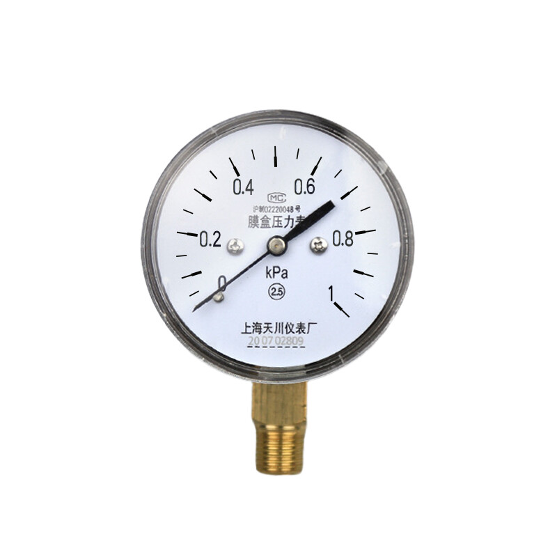 STCIF YE-60过压防止型膜盒压力表径向微压表 表盘直径60mm PT1/4(两分)螺纹