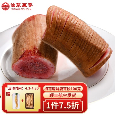 梅花鹿鲜鹿茸段 100克/根