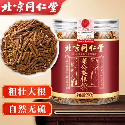 搭清火散结野生蒲公英根茶