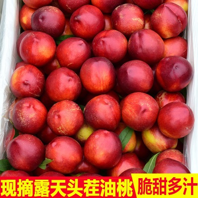 现货黄心油桃5斤大桃子新鲜水果当季整箱包邮3脆水...