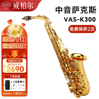 VAS-K300 中音初学专业款+礼包