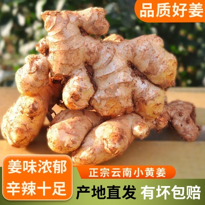净重2斤【精品好姜】
