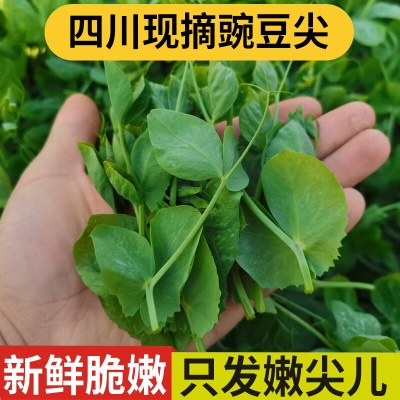 【普通快递】3斤