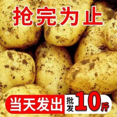 10斤装  黄皮土豆含箱