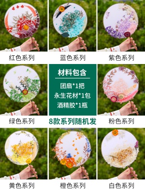 袋装(混发)永生花团扇材料包