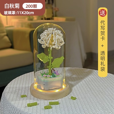 白秋菊+发光玻璃罩+礼袋 【材料包】