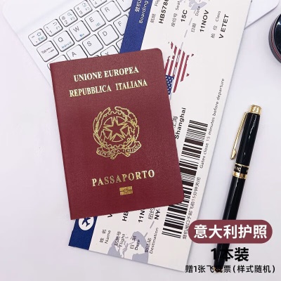 意大利护照(12页内页)