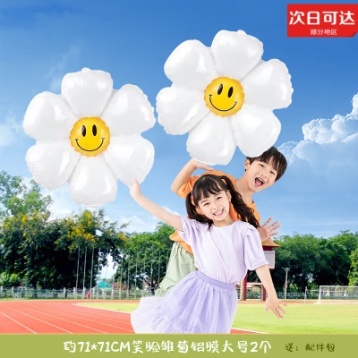 大号笑脸雏菊 2个